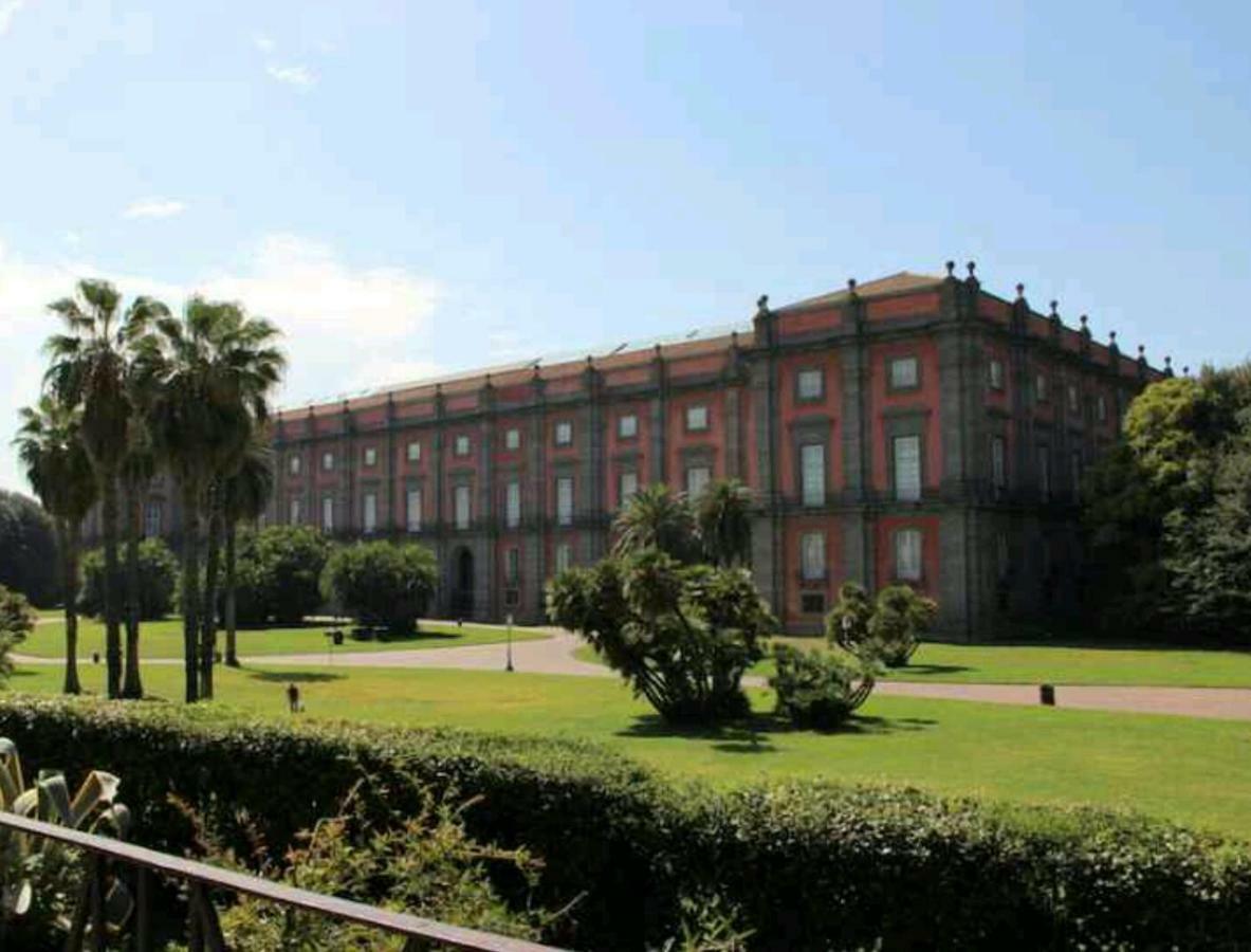 Linea1 * Neapel